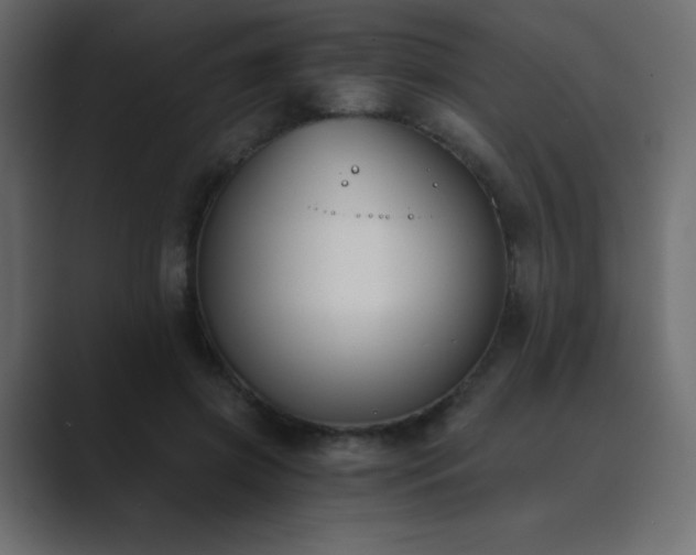 X0000089850549200706281253