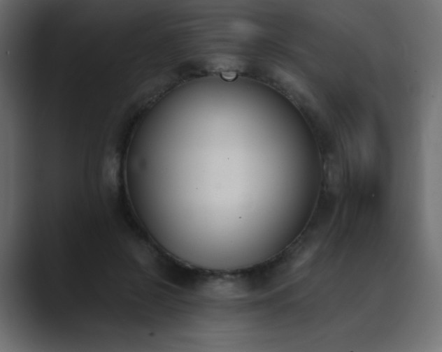 X0000089850550200706281253