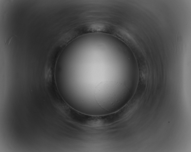 X0000089850551200706281253