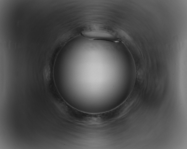 X0000089850552200706281253