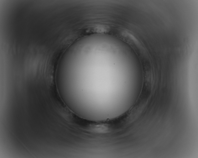 X0000089850553200706281253