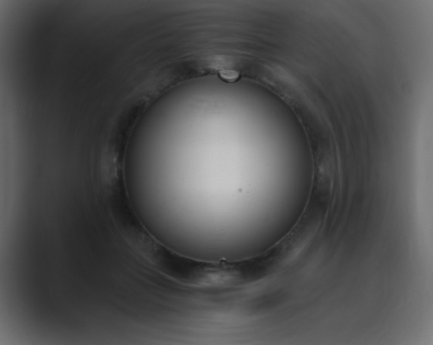 X0000089850555200706281253