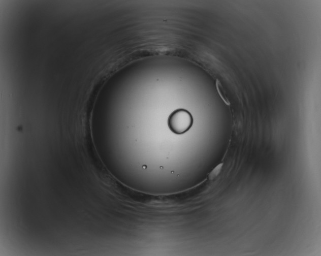 X0000089850556200706281253