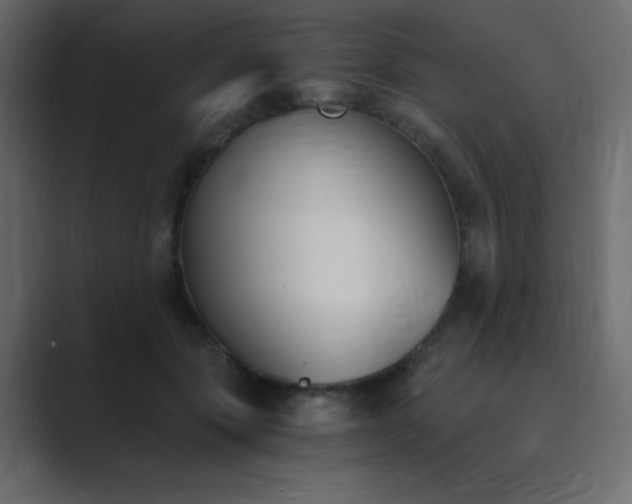 X0000089850557200706281253