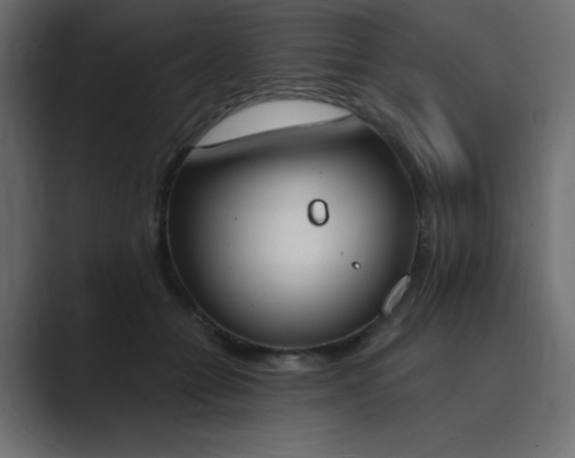 X0000089850558200706281253