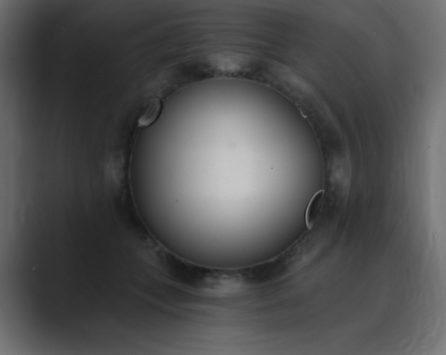 X0000089850559200706281253
