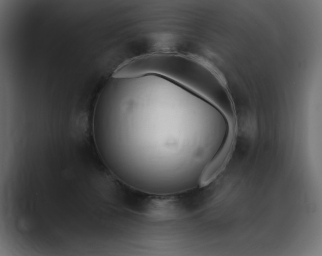 X0000089850560200706281253