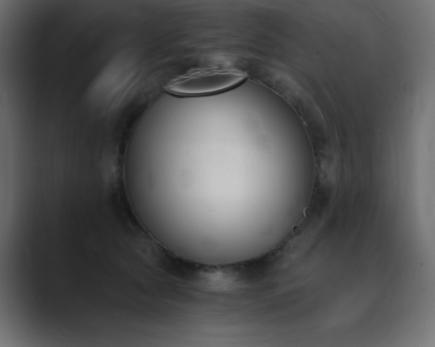 X0000089850561200706281253