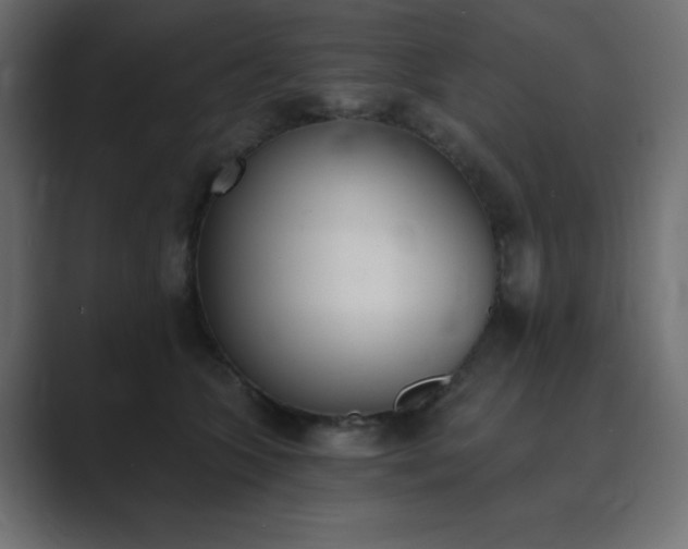 X0000089850563200706281253