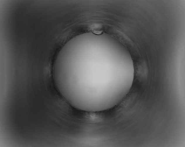 X0000089850565200706281253