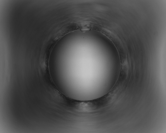 X0000089850566200706281253