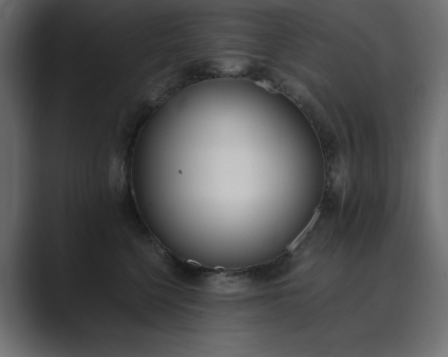 X0000089850568200706281253
