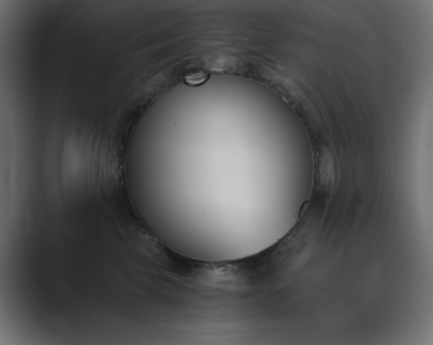 X0000089850569200706281253