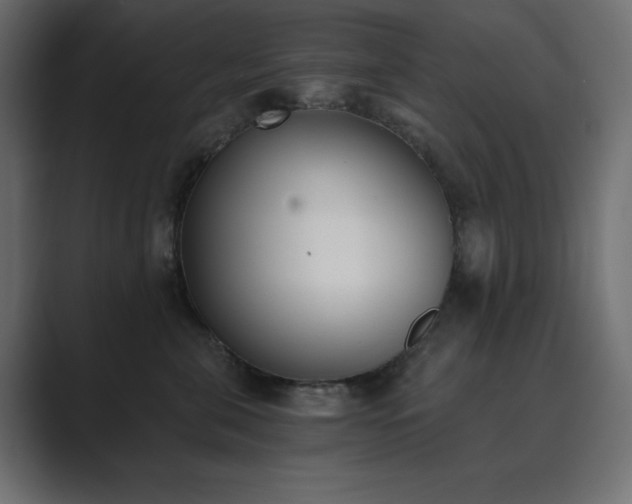 X0000089850571200706281253