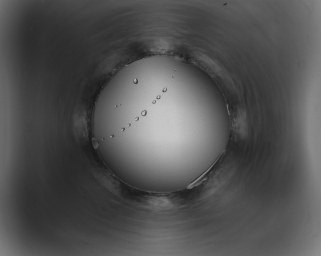 X0000089850572200706281253
