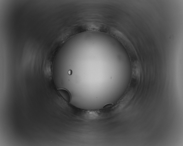 X0000089850573200706281253