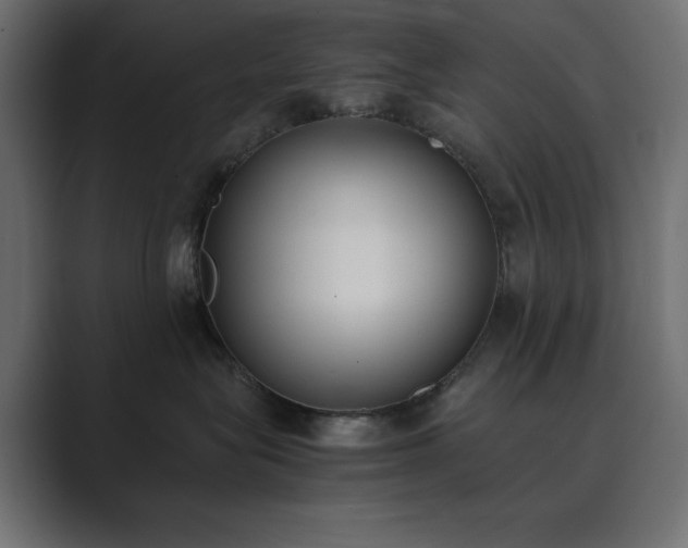 X0000089850575200706281253