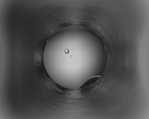 X0000089850576200706281253
