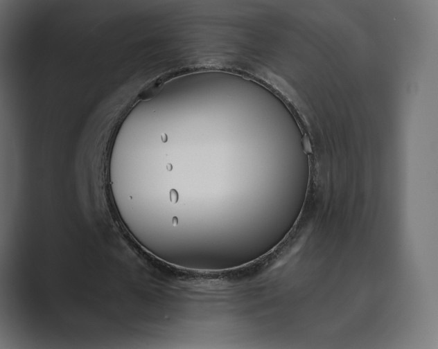 X0000089850577200706281253