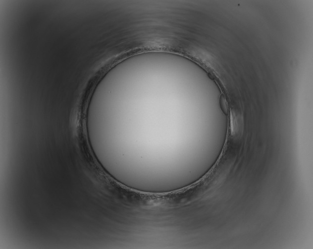 X0000089850579200706281253