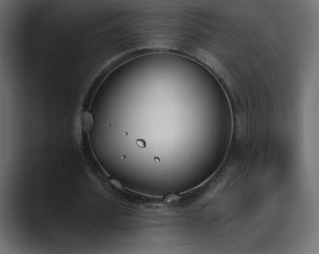 X0000089850580200706281253
