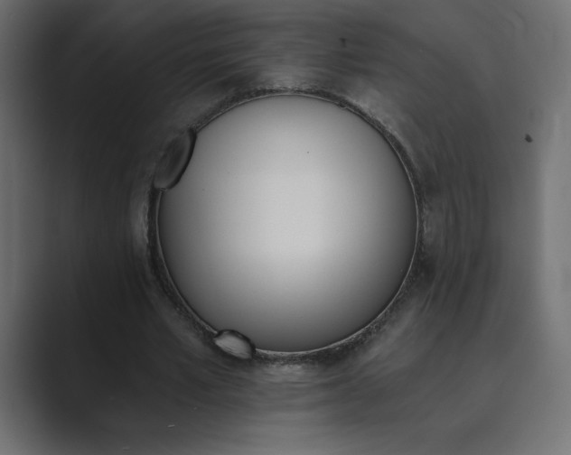 X0000089850581200706281253