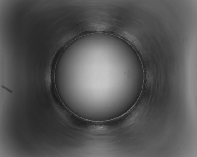 X0000089850582200706281253