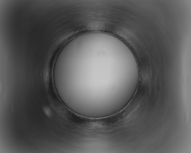 X0000089850583200706281253