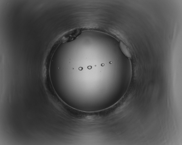 X0000089850584200706281253