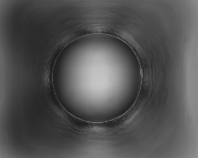 X0000089850585200706281253