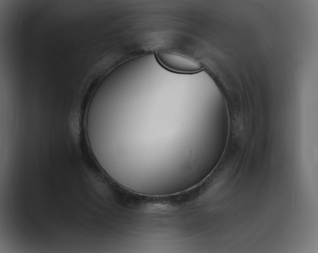 X0000089850586200706281253