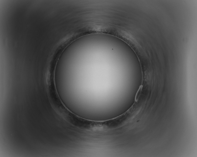 X0000089850587200706281253
