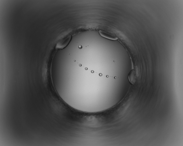 X0000089850588200706281253
