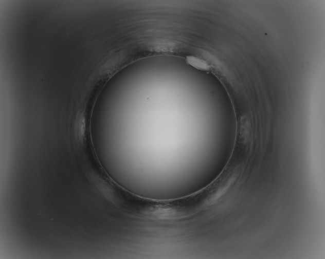 X0000089850589200706281253