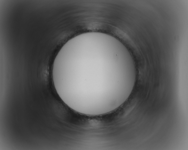 X0000089850592200706281253