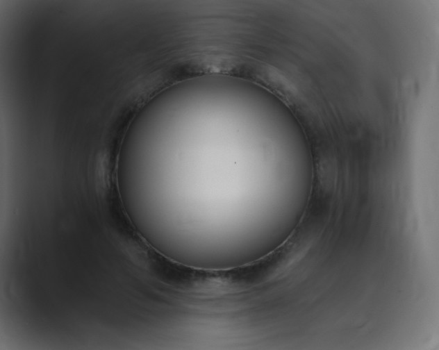 X0000089850594200706281253