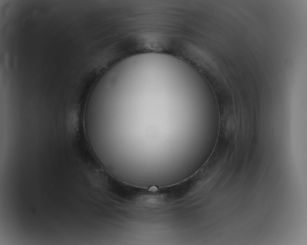 X0000089850595200706281253