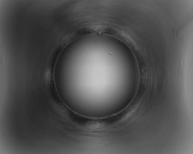 X0000089850597200706281253