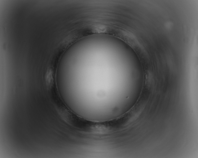 X0000089850598200706281253