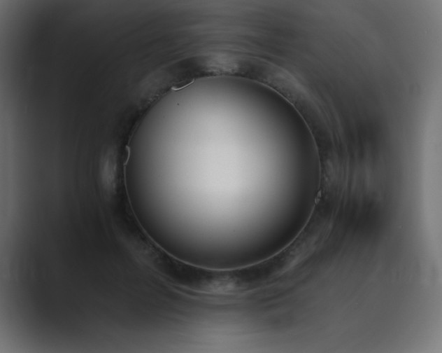 X0000089850600200706281253