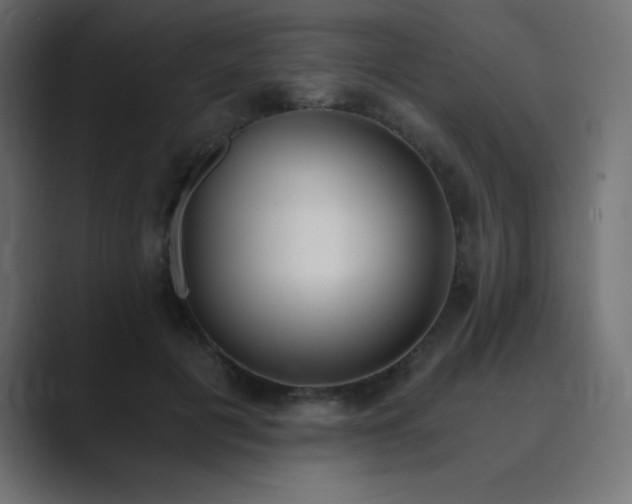 X0000089850601200706281252