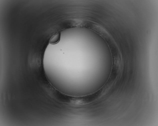 X0000089850602200706281252