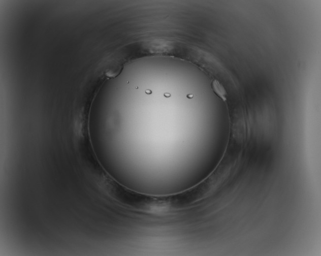 X0000089850604200706281252
