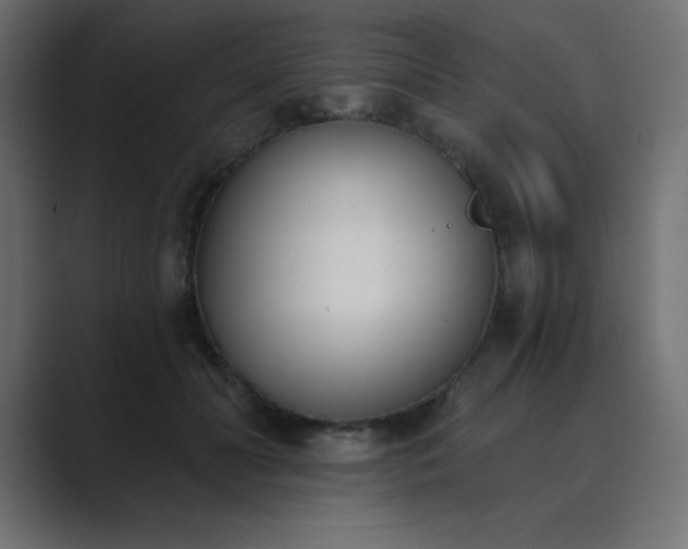 X0000089850606200706281252