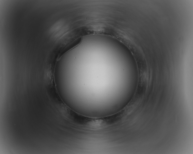 X0000089850609200706281252