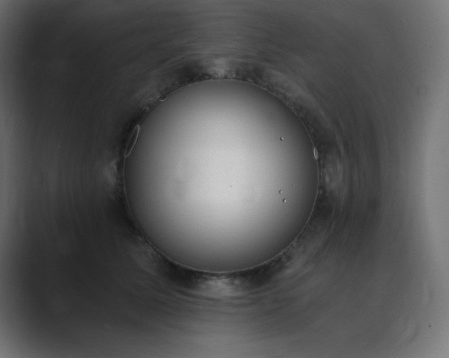 X0000089850611200706281252