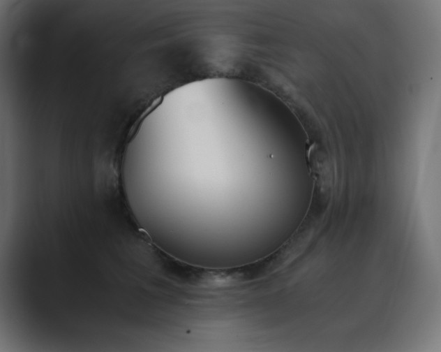 X0000089850613200706281252