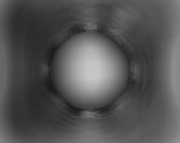X0000089850614200706281252