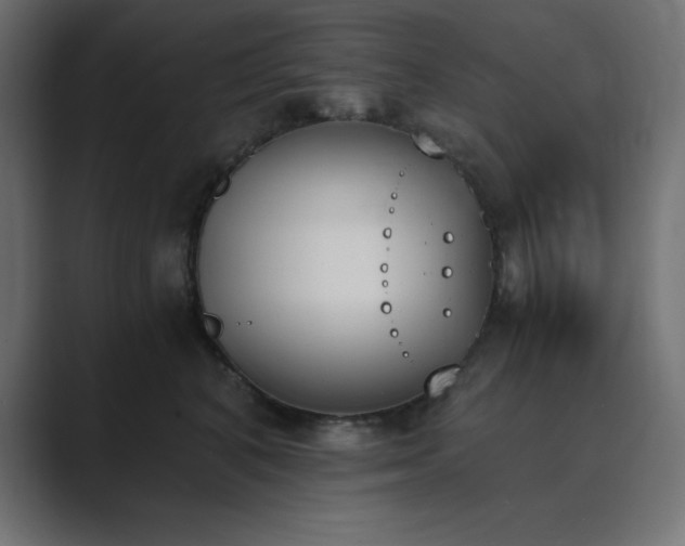 X0000089850616200706281252