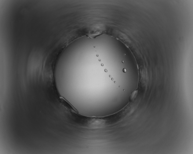 X0000089850617200706281252